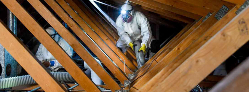 Attic Sanitizing And Decontamination